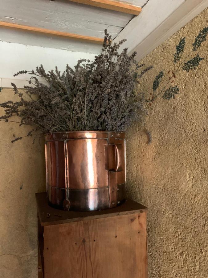Le Bouchet-Saint-Nicolas Le Potala Bed & Breakfast エクステリア 写真